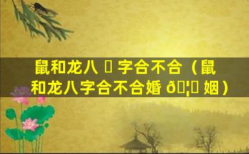 鼠和龙八 ☘ 字合不合（鼠和龙八字合不合婚 🦍 姻）